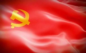 党支工作述职报告6篇