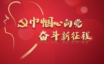 党日活动个人总结精选7篇