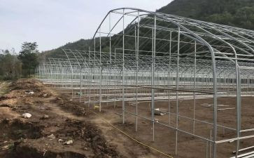 盖大棚合同优秀6篇