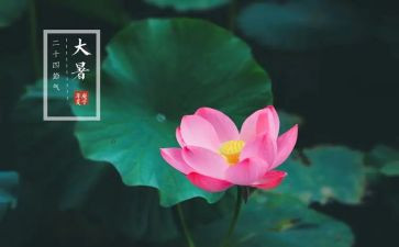 大暑作文精选7篇