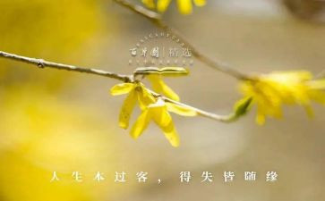 得与失的事迹模板5篇