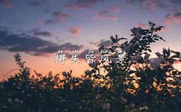 半学期我的得与失作文最新6篇