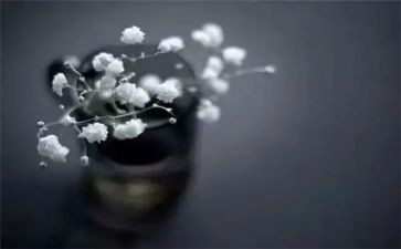 得与失读后感300字优秀8篇