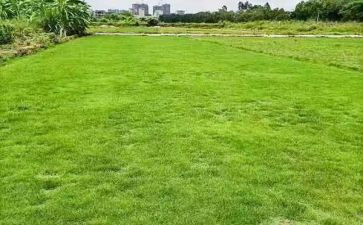 房地产工作汇报及总结8篇