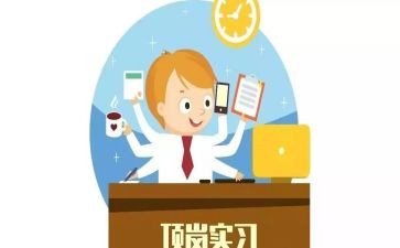选顶岗实习个人总结推荐8篇