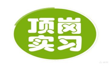 选顶岗实习个人总结参考7篇