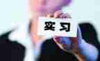 顶岗实习总结精选5篇