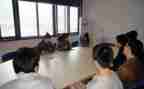 电子顶岗实习心得5篇