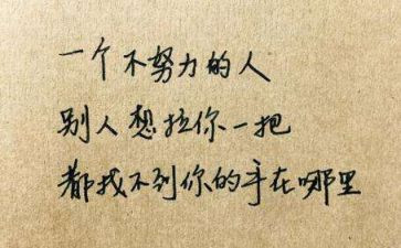 我懂了感恩作文400字作文7篇