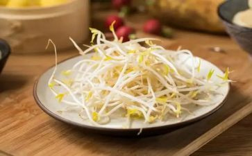 豆芽生长记作文5篇