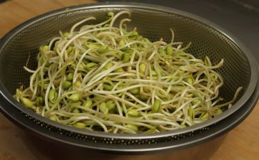 大豆芽作文精选8篇