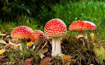 3禁毒心得体会6篇