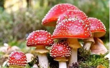 禁毒活动的心得7篇