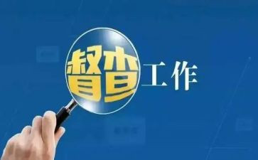 督查工作年度总结7篇
