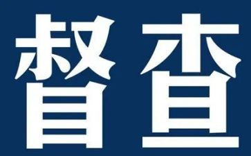 城管督察科工作总结5篇