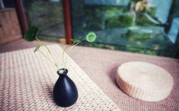 读懂母爱作文6篇