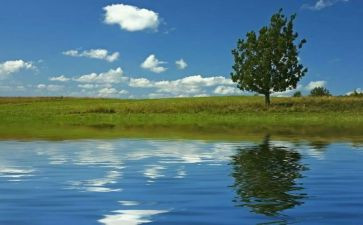 读懂爱作文推荐7篇