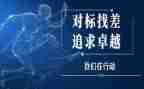 小学对标对表活动总结优质6篇
