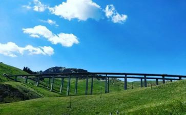 多彩的校园生活作文最新5篇