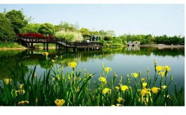 多彩的校园生活作文优秀6篇