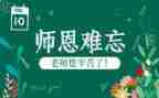 感恩师情演讲稿6篇