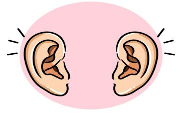 耳健康教案模板6篇