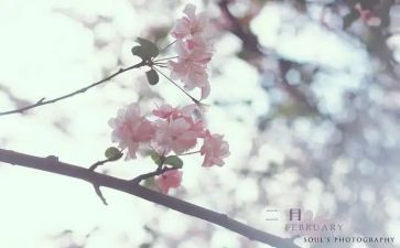 幼儿园大班十二月份工作计划7篇