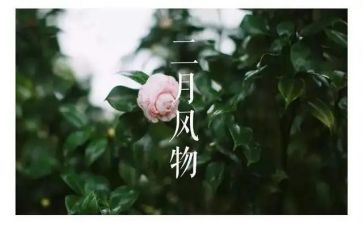 中班二月工作总结7篇