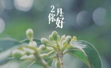 销售二月总结7篇