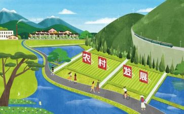 大学生职业发展课心得体会最新6篇