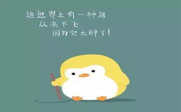 给书包减肥的作文7篇