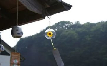 风铃草的作文400字6篇