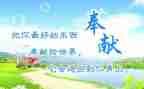 教师比奉献比作为心得体会7篇