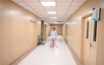2024年妇科优质护理工作计划8篇