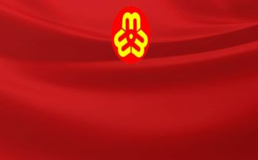 村妇联工作计划模板6篇