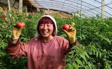 扶贫总结及工作计划7篇