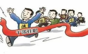 村副职述职报告5篇