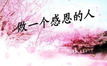 讲感恩故事的演讲稿优质6篇