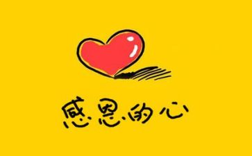 感恩教师演讲稿800字7篇