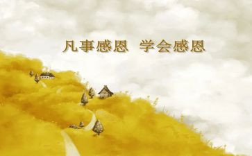 感恩我的作文最新5篇
