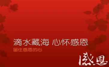 感恩的作文600字作文优秀7篇