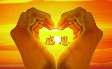 以感恩演讲稿800字5篇
