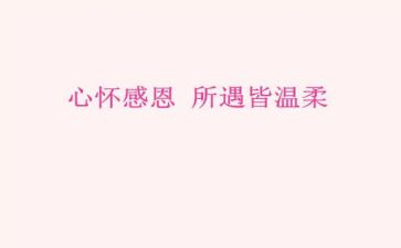 作文感恩500字通用8篇