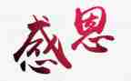 写感恩的作文600字优质7篇