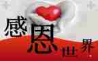 讲感恩心得体会优质5篇