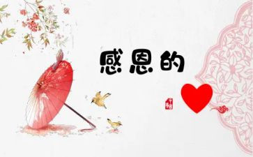 我感激作文800字5篇