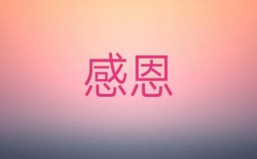 我感激她作文400字6篇