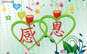 我最感激作文600字8篇