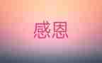 我感激她作文400字6篇