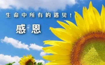 2024年我感谢作文模板6篇